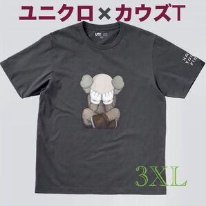 【新品未開封】ユニクロ×カウズT 限定
