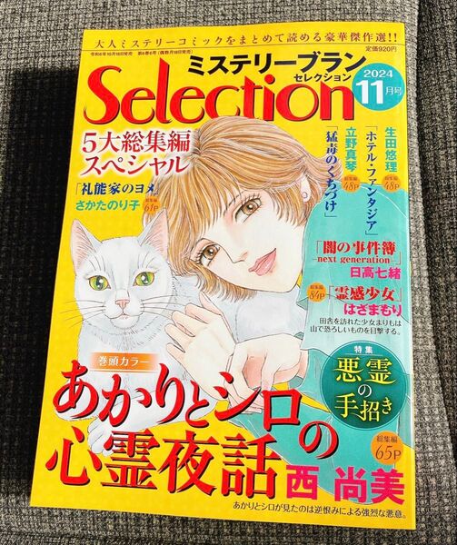 ミステリーブランセレクション 11月号 レディースコミック レディコミ