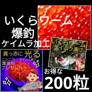いくらワーム いくらルアー ルアー ワーム ケイムラ ニジマス アジ メバル