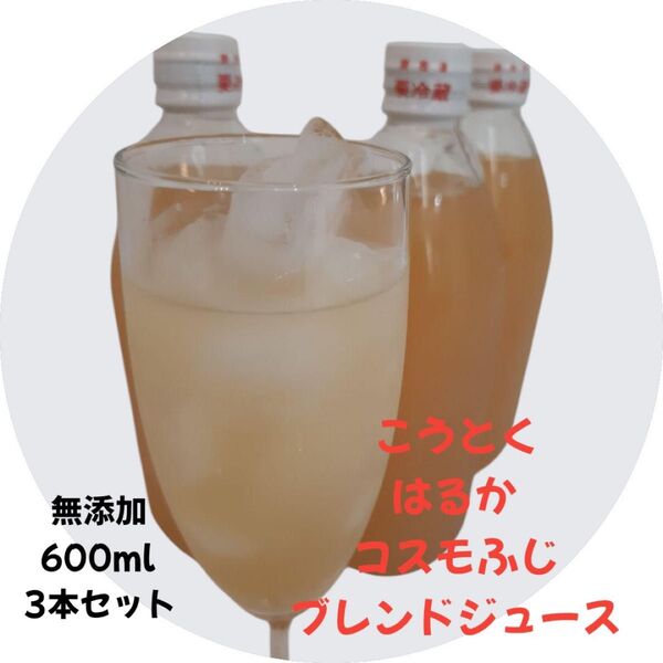 【お得】山形県産 リンゴジュース600ml 3本