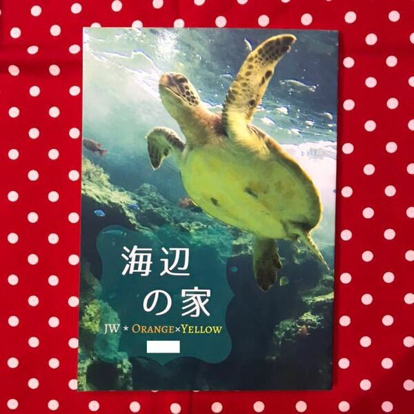 【同人誌】ジャニーズWEST/WEST./ジャニスト/JW/ばど/あきじゅん/橙黄/桐山x中間/小説/海辺の家/海の男x休暇中の医師