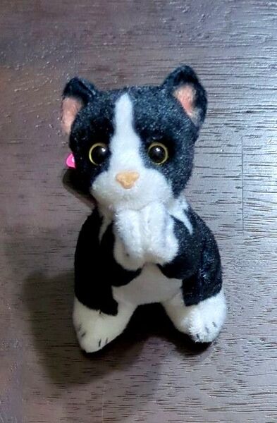 お願いにゃんこ マスコットBC ぬいぐるみ