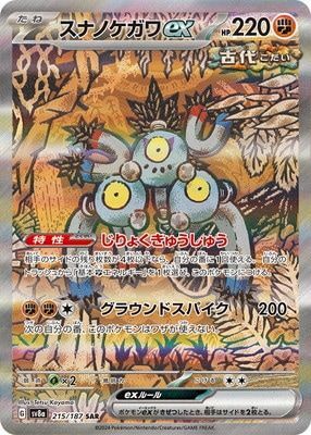 スナノケガワex sar テラスタルフェス