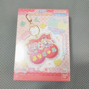 パチパチ プリキュア デコネーム