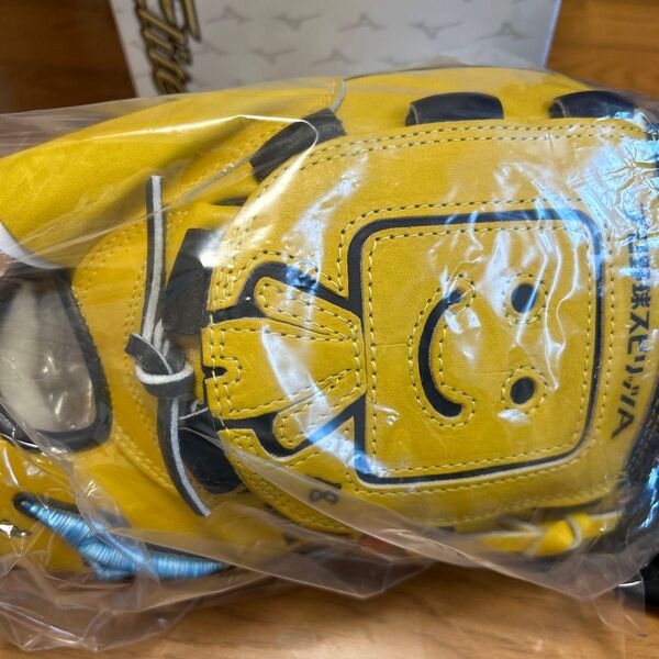 【新品未使用タグ付き】【激レア】調子くんグラブbyプロスピfeatマエケン