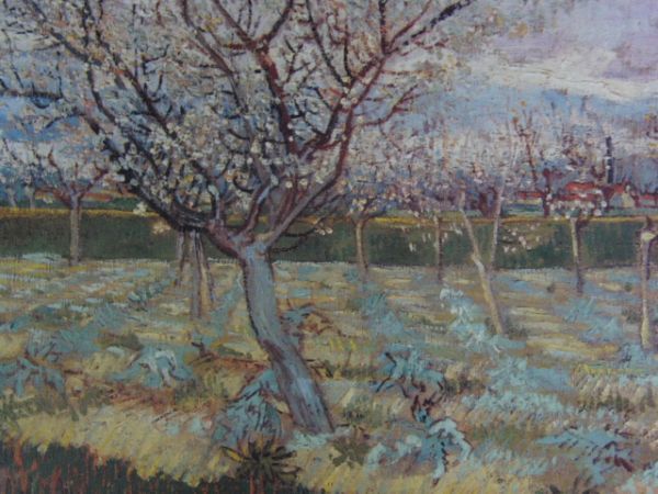 vincent van gogh, blooming apricot tree, From a rare art book, Good condition, New high-grade frame, With frame, postage included, painting, oil painting, Nature, Landscape painting