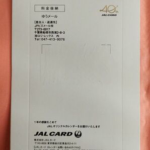 JAL 卓上 カレンダー 2025年