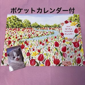 ゆうちょマチオモイカレンダー ポケットカレンダーおまけ付2025年 令和7年 郵便局