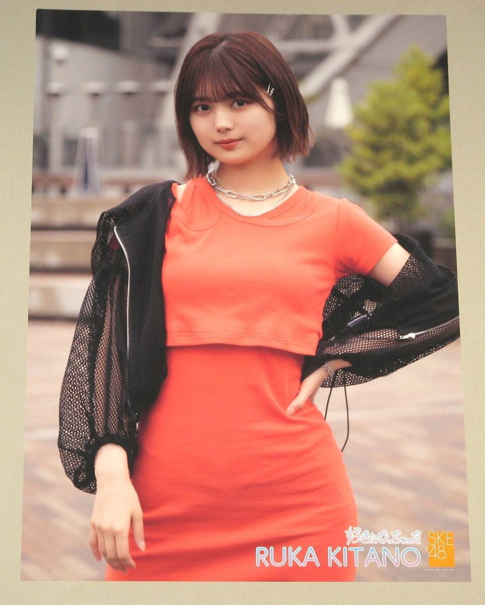 新品未使用】北野瑠華 タペストリー(等身大サイズ)／ポスター M
