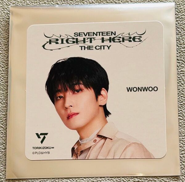 匿名即日発送! SEVENTEEN RIGHT HERE 鳥貴族 コースター ウォヌ