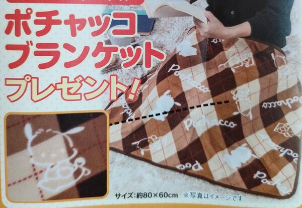 新品 非売品 サンリオ★ミニブランケット★ポチャッコ 茶系チェック柄 キャラクター防寒具