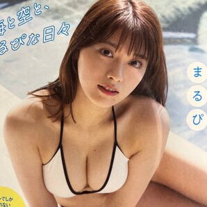 DVDまるぴ「海と空と、まるぴな日々」47分