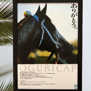 【A4 額付】オグリキャップ 競馬 JRA ウマ娘 ポスター A4 武豊