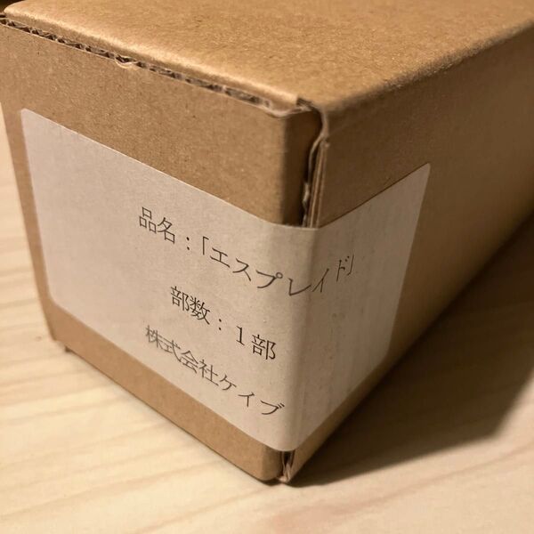 cave エスプレイド ポスター 未開封 ケイブ