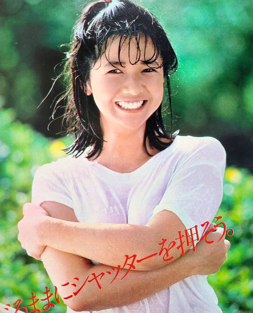 2025年最新】Yahoo!オークション -宮崎美子(印刷物)の中古品