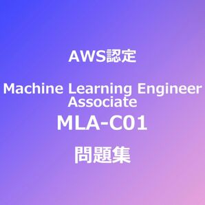 AWS MLA-C01 問題集