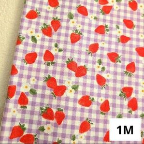 イチゴ シーチング 100cm