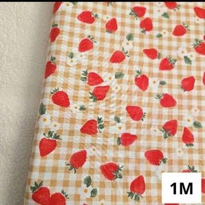 イチゴ シーチング 100cm