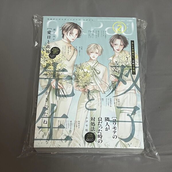 BL雑誌 gateau ガトー 2025年2月号