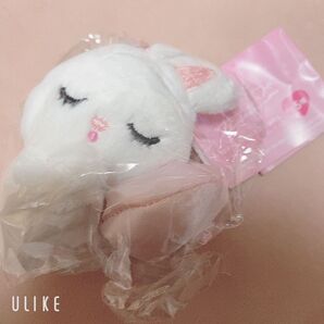 foxy illustrations ボールチェーンつきミニぬいぐるみ BUNNY(CUSHION)