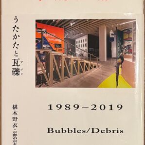 平成美術 うたかたと瓦礫(デブリ) 1989-2019 椹木野衣・京都市京セラ美術館 編 世界思想社