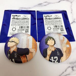 ハイキューハイキュープラザTD缶バッジ グリッター ver.等身アニメ映画TOHO animation STORE東宝