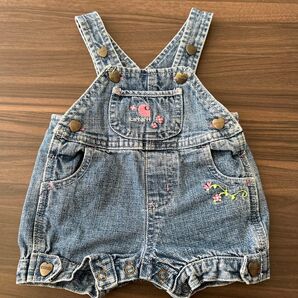 Carhartt 刺繍デニムオーバーオール アメカジ