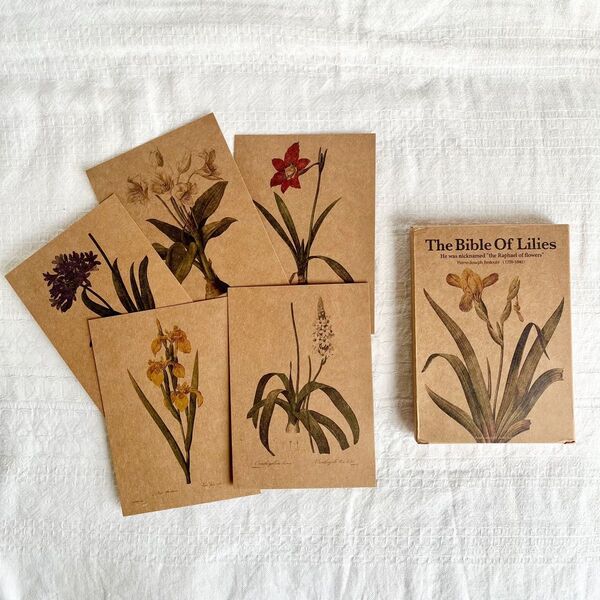 海外ポストカード アンティーク調 ユリ 25枚入り