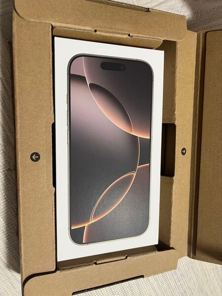 12/20購入 新品未開封品 iPhone 16 Pro 256GB SIMフリー 大人気新色 デザートチタニウ厶 即日発送