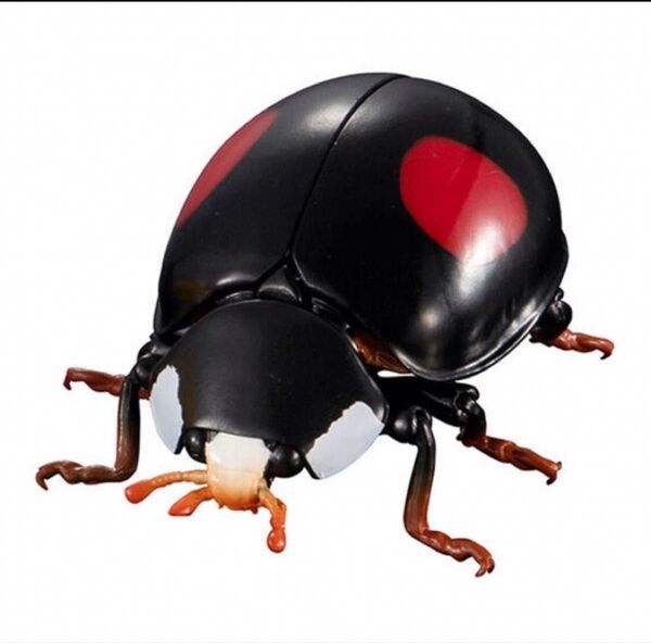 いきもの大図鑑アドバンス テントウムシ てんとうむし ナミテントウ バンダイ ガシャポン バンダイ BANDAI フィギュア