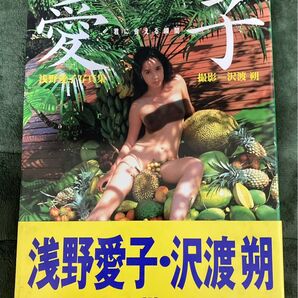 浅野愛子/ 写真集 愛子 沢渡朔 大竹一重