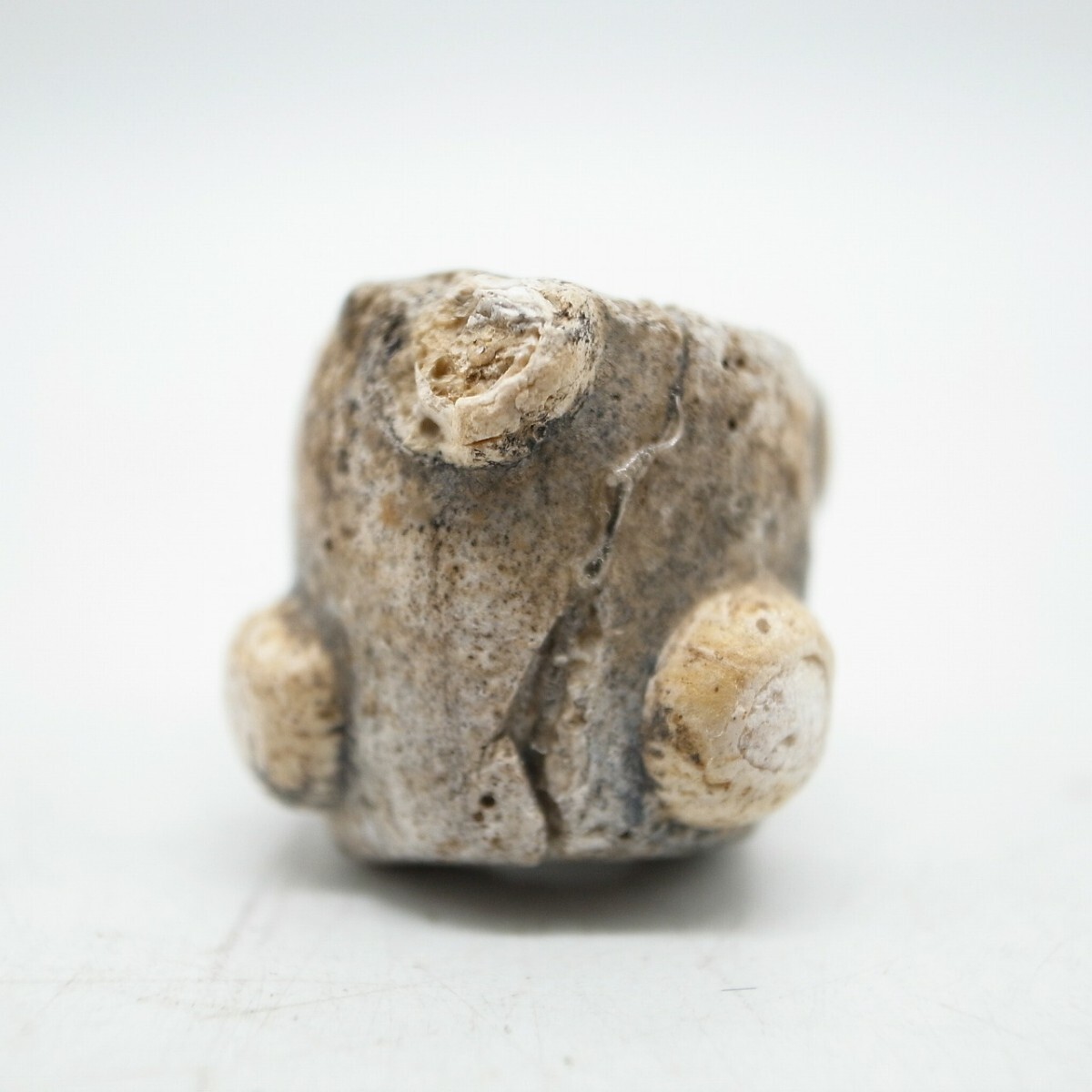 Yahoo!オークション -「古代ローマンガラス」(ガラス) (工芸品 Yahoo!オークション -「古代ローマンガラス」(ガラス) (工芸品
