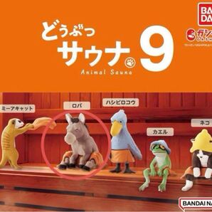 どうぶつサウナ9 ロバ