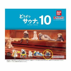 どうぶつサウナ10 モグラ