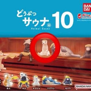 どうぶつサウナ10 オコジョ