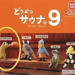 どうぶつサウナ9 ミーアキャット