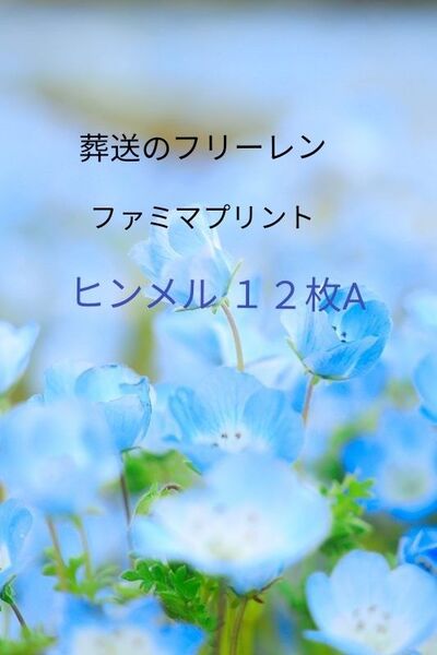 【新品・未使用】 葬送のフリーレン ファミマプリント、 ヒンメル 12枚A
