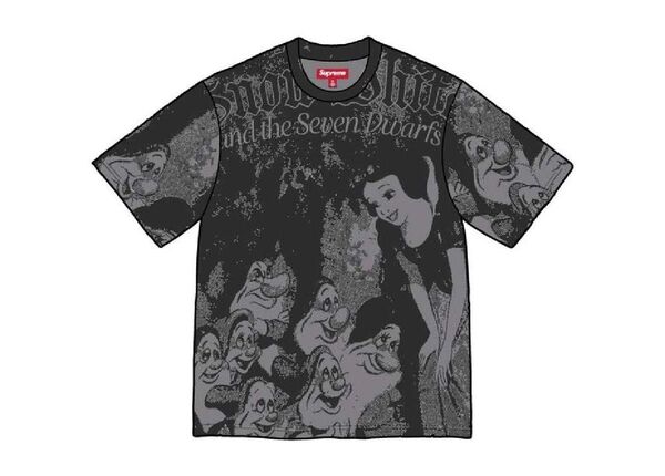 Supreme Snow White S/S Top "Grey"