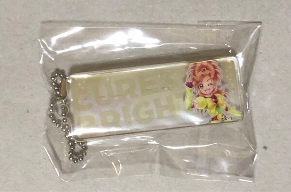 全プリキュアライブ スプラッシュスター キュアブライト キュアブルーム アクリルブロック アクリルキーホルダー