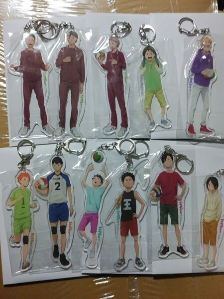 ハイキュー 全身アクリルキーホルダー 思い出 全11種セット 日向 影山 及川 岩泉 黒尾 孤爪 山口 月島 澤村 東峰 菅原
