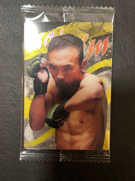 RIZIN ウエハース24 キム・スーチョル