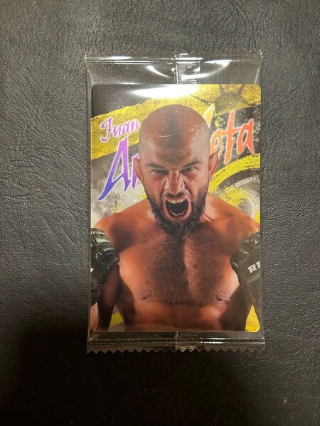 RIZIN ウエハース24 ファン・アーチュレッタ
