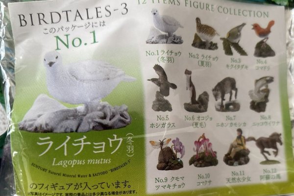 Yahoo!オークション -「バードテイルズ3高山の花鳥」の落札相場 Yahoo!オークション -「バードテイルズ3高山の花鳥」の落札相場