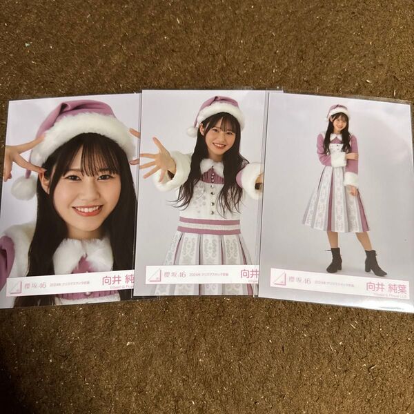 櫻坂46 向井純葉 2024年 クリスマスサンタ衣装 セミコンプ