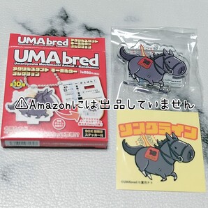 【競馬】UMAbred ウーマブレッド アクリルスタンド&キーホルダー アクスタ アクキー ソングライン 安田記念