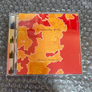 CD Cranberry Soda 河村隆一
