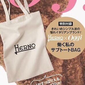 HERNO×Oggi 働く私のサブトートBAG