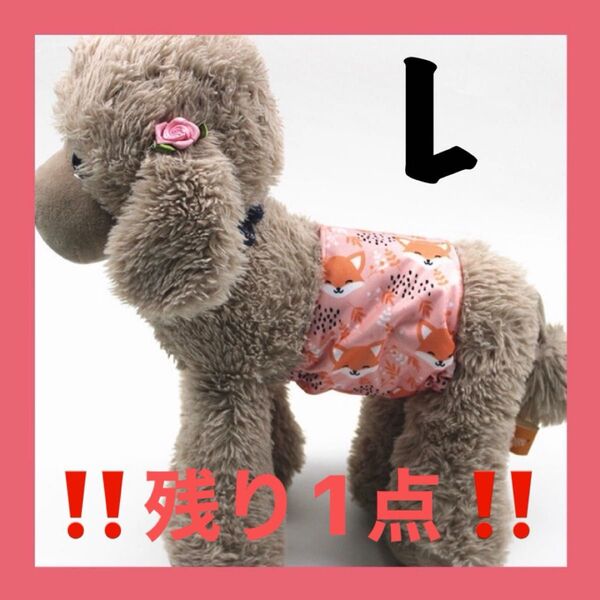 【残1点】きつね L マナーバンド マナーベルト マナーウェア 犬服 オス マナーパンツ 犬 ペット ペット服