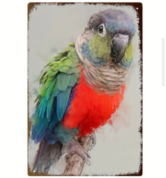 ウロコインコ 看板