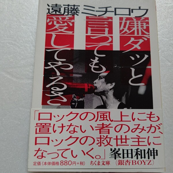 美品希少 嫌ダッと言っても愛してやるさ! 遠藤ミチロウ 吉本隆明 峯田和伸 忌野清志郎 パティスミス スターリン 日本パンク他